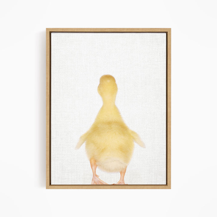 Yellow Ducky Facing Backwards - Animal Portraits