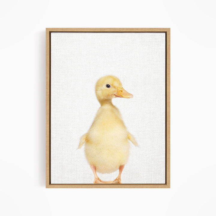 Yellow Ducky Side Glance - Animal Portraits