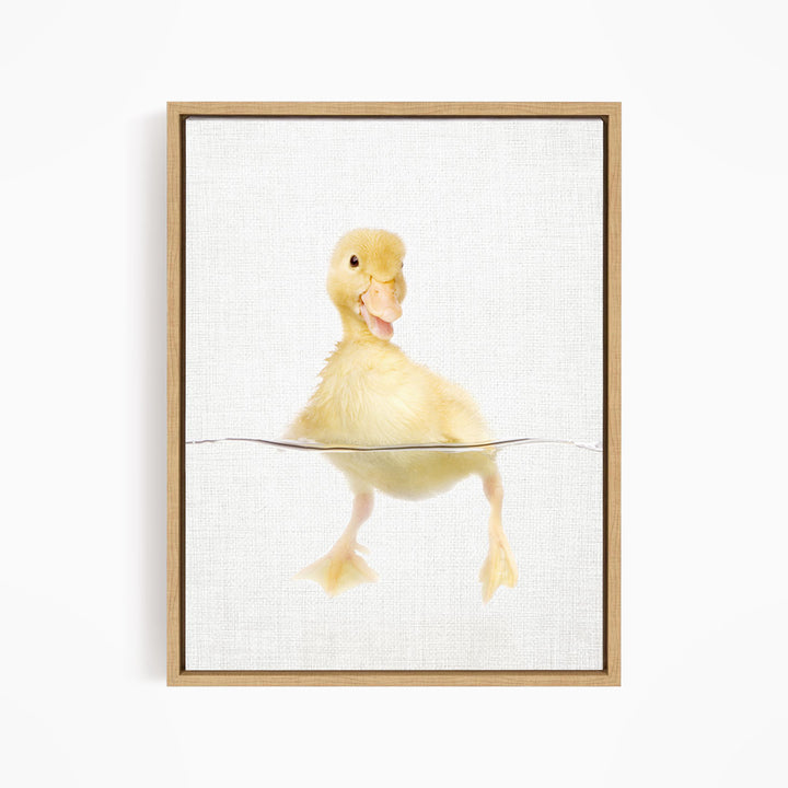 Yellow Ducky Swimming - Animal Portraits