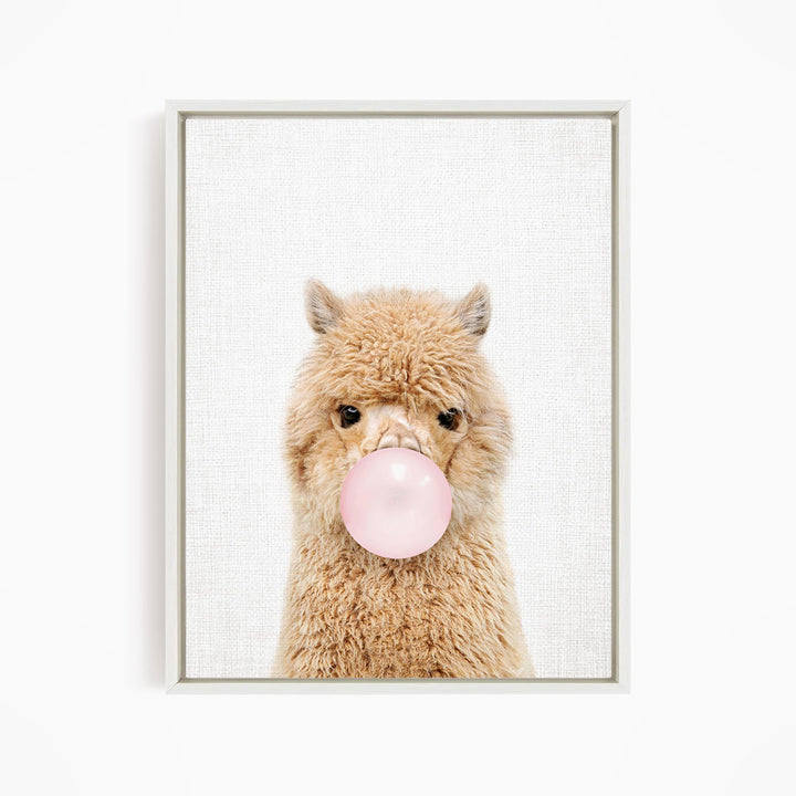 Baby Alpaca Blowing Pink Bubble Gum