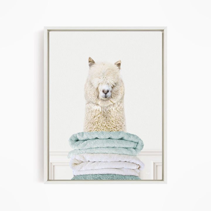 Alpaca on Folded Towels - Simple White Wall