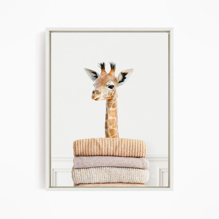 Baby Giraffe on Sweaters - Simple White Wall