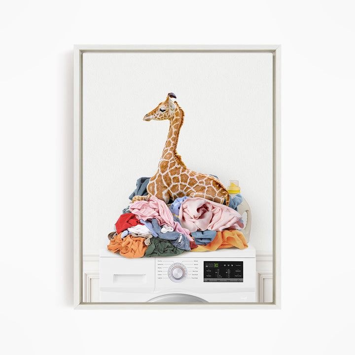 Baby Giraffe on Laundry Clothes Pile on Washing Machine - Simple White Wall
