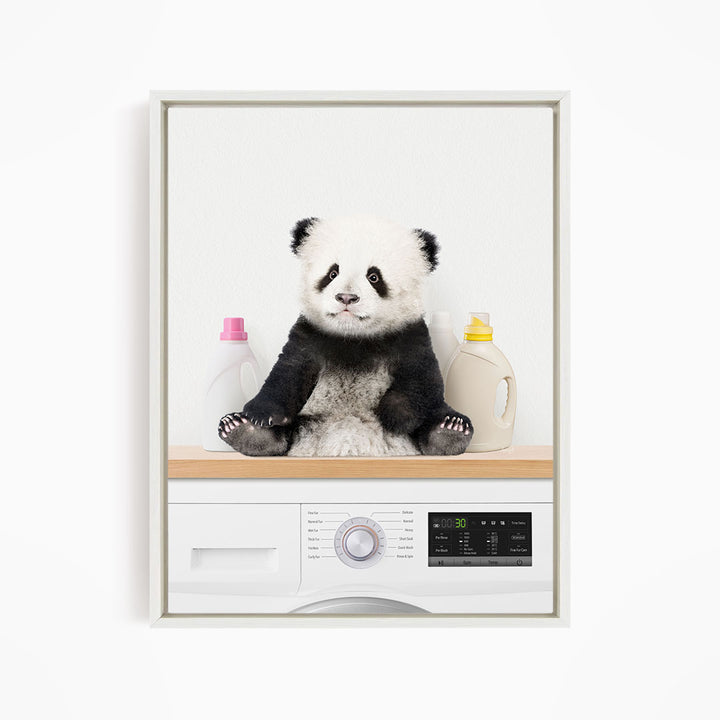 Baby Panda on Shelf Above Washing Machine - Simple White Wall