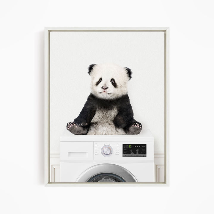 Baby Panda on Washing Machine - Simple White Wall