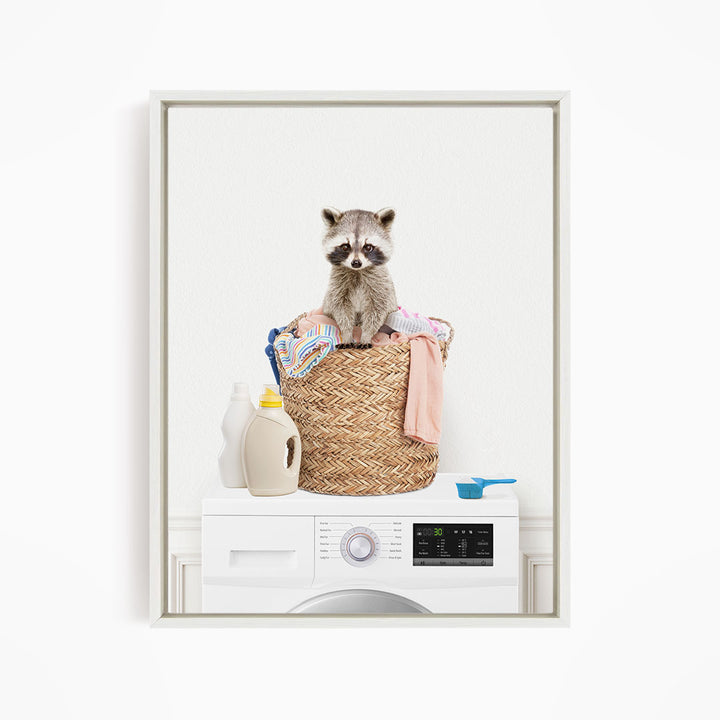 Baby Raccoon in Laundry Basket on Washing Machine - Simple White Wall