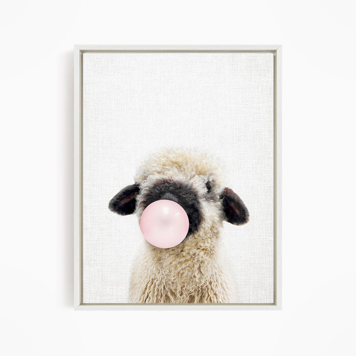 Baby Black Nosed Sheep Blowing Pink Bubble Gum