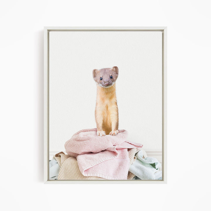 Weasel Clothes Pile - Simple White Wall