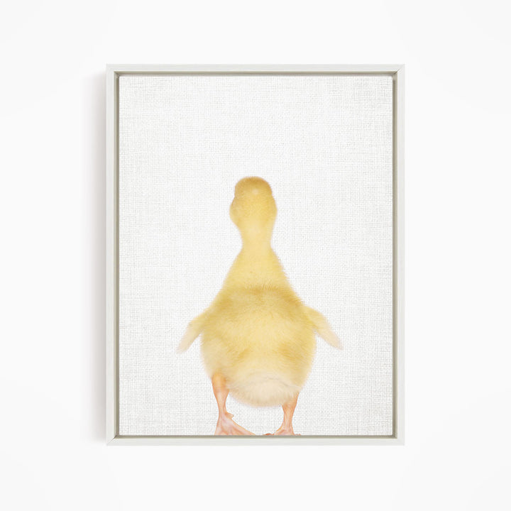 Yellow Ducky Facing Backwards - Animal Portraits