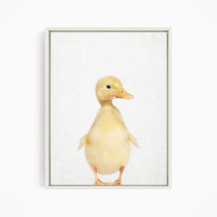 Yellow Ducky Side Glance - Animal Portraits