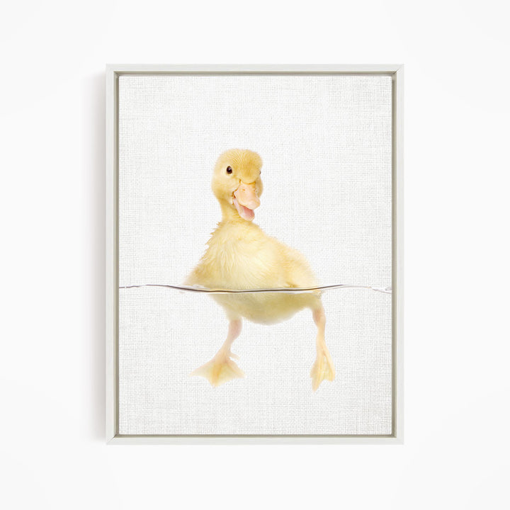 Yellow Ducky Swimming - Animal Portraits