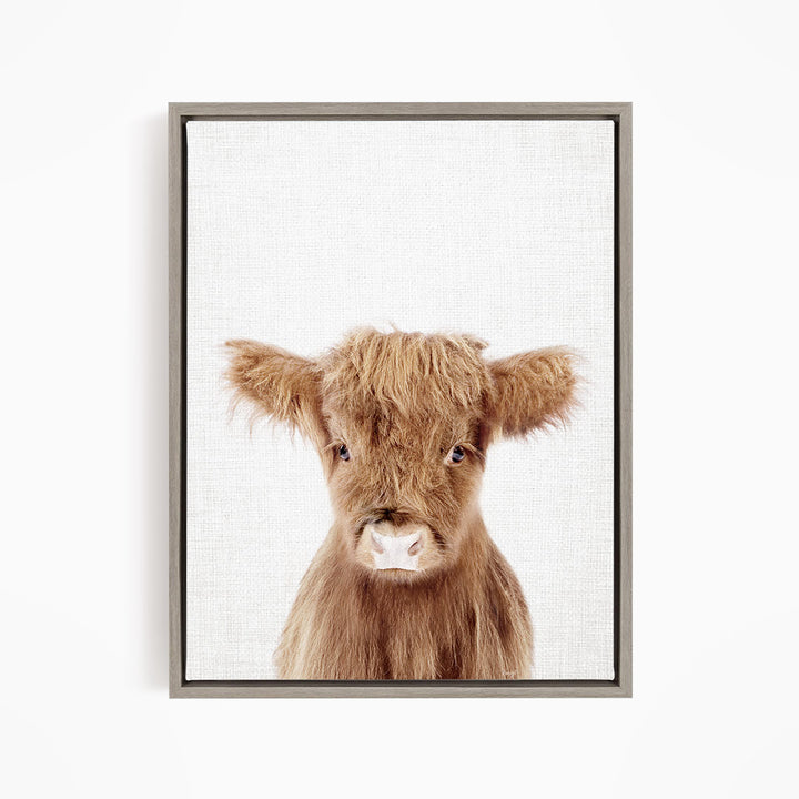 A close-up portrait of a brown cow with shaggy fur and large, expressive eyes.