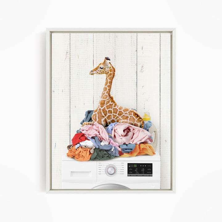 A giraffe sitting atop a pile of laundry in a white frame.