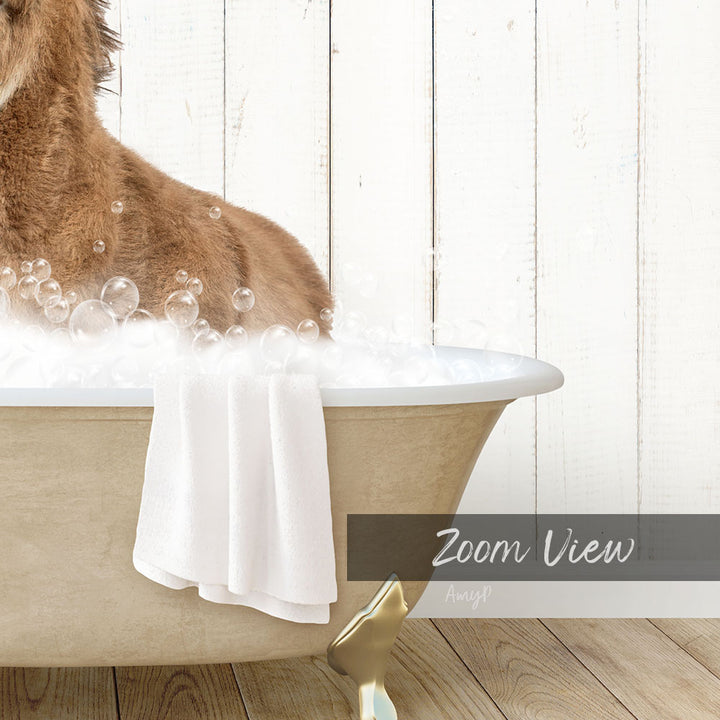 A dog is sitting in a bathtub filled with bubbles, with a towel draped over the side.