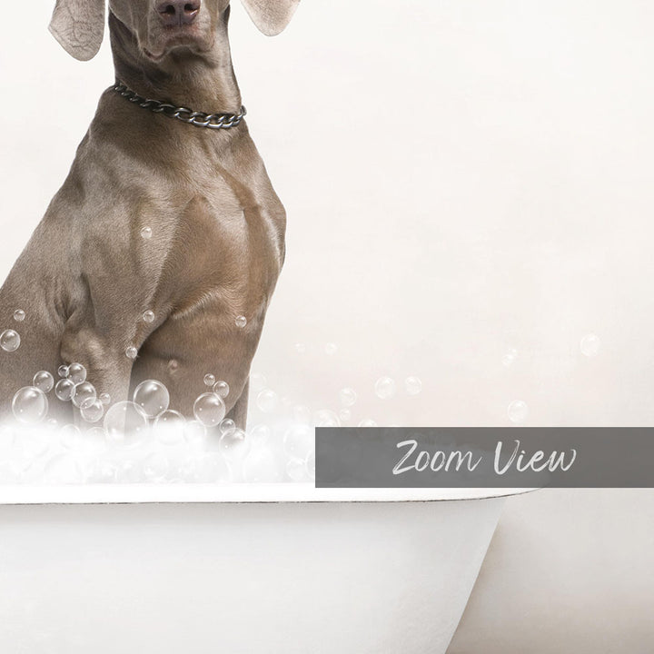 A dog sitting in a bathtub filled with bubbles, with the word "Zoom View" written on the side of the tub.