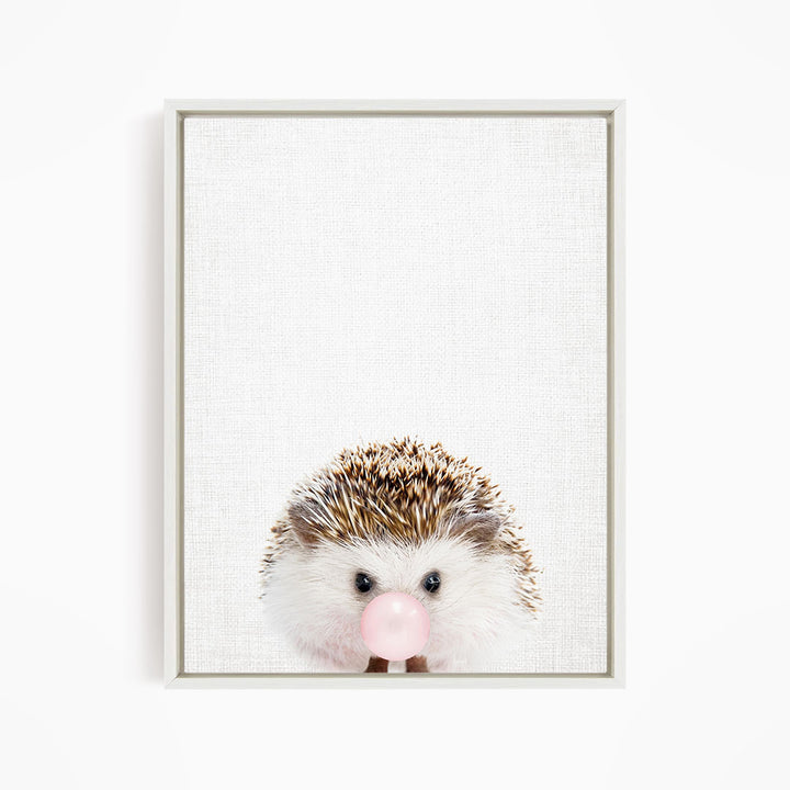 A cute hedgehog with a pink bubblegum bubble in its mouth, looking directly at the camera.