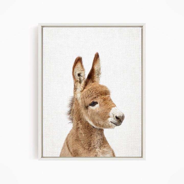A close-up portrait of a donkey with a white muzzle and brown ears, looking directly at the camera.