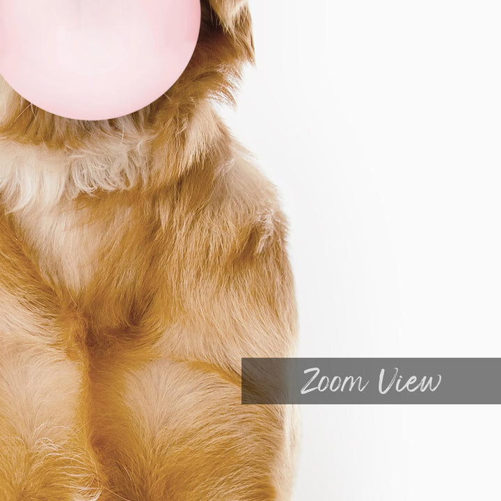 a dog with a pink bubble in its mouth