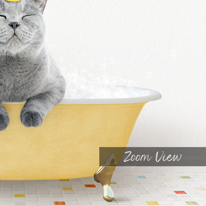 A gray cat sitting in a yellow bathtub filled with bubbles, with a "Zoom View" label below the image.