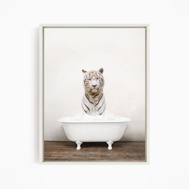 A white tiger sitting in a white bathtub filled with water, looking directly at the camera.