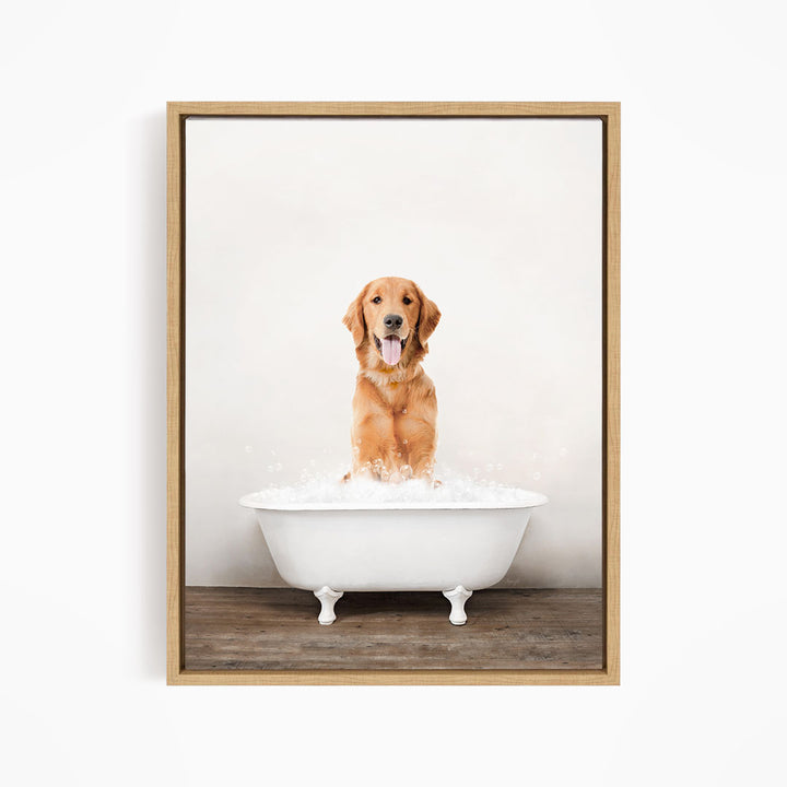 A golden retriever dog sitting in a white bathtub filled with water, with its tongue hanging out, creating a playful and relaxed atmosphere.