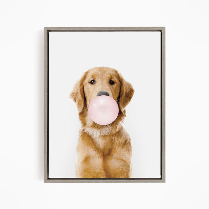A golden retriever dog is holding a pink bubble gum bubble in its mouth, looking directly at the camera.