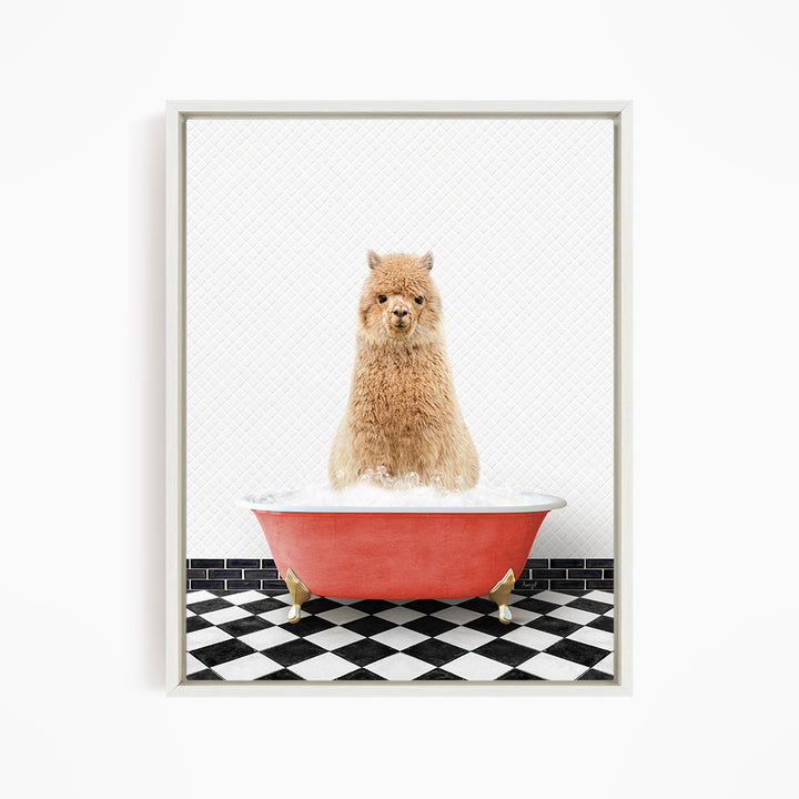 A fluffy brown alpaca sitting in a red bathtub filled with bubbles, surrounded by a black and white checkered floor.