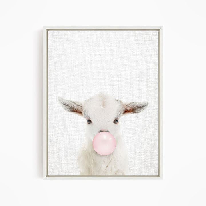 A white goat with pink bubble gum blowing in its mouth is the main subject of the image.