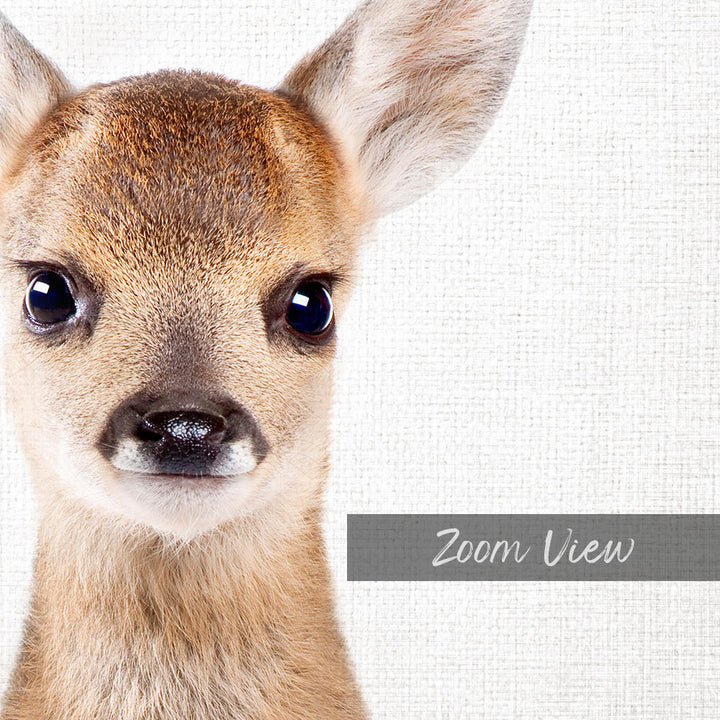 A close-up portrait of a young deer with large, expressive eyes and a small nose, set against a plain white background.