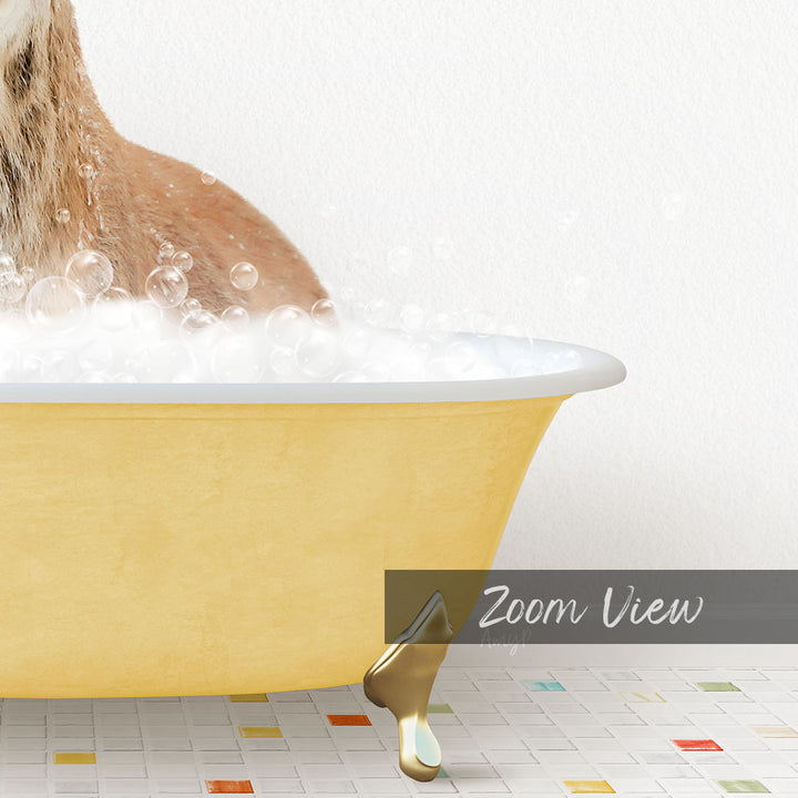 A cat sitting in a yellow bathtub filled with bubbles, with a text overlay that reads "Zoom View".