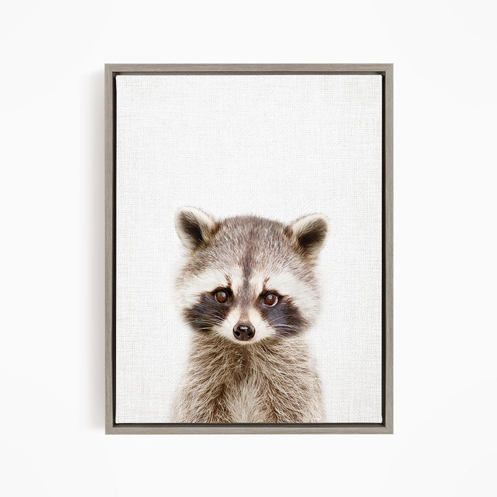 A raccoon with large eyes and a curious expression is the focus of the image.