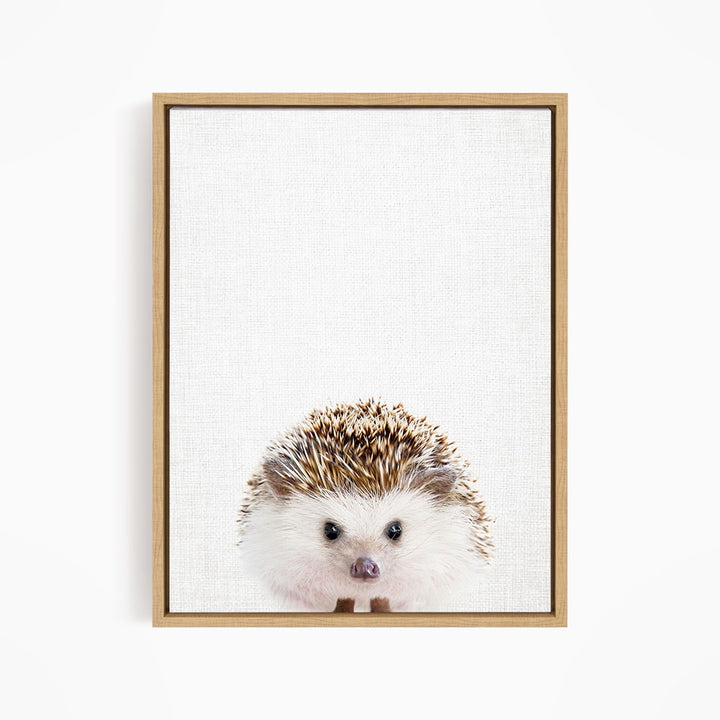 A cute hedgehog peeking out from behind a white background.