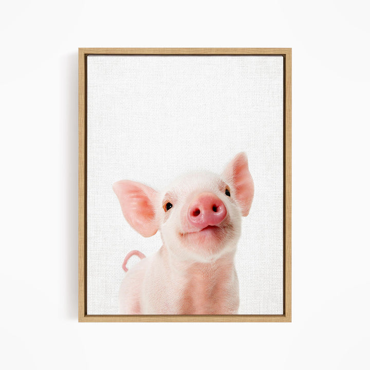 A cute, pink pig with large ears and a pink nose is the main subject of the image.