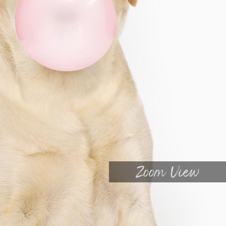 a dog with a pink bubble in its mouth