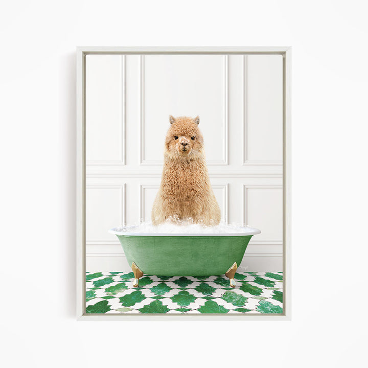 A fluffy brown dog sitting in a green bathtub filled with bubbles, surrounded by a green and white patterned floor.