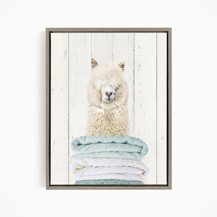 A fluffy white alpaca sits atop a stack of light blue towels, with a white wooden wall as the background.