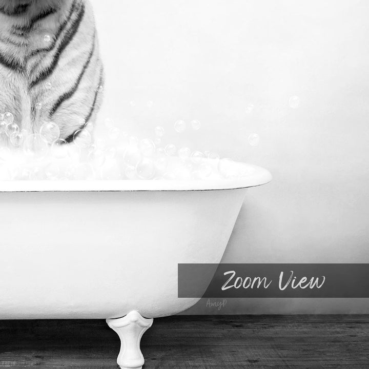 A black and white image of a cat sitting in a bathtub filled with bubbles, with the text "Zoom View" overlaid on the image.