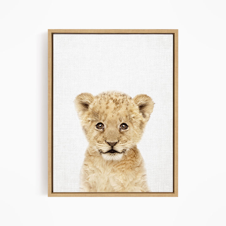 A young lion cub with a curious expression, looking directly at the camera.
