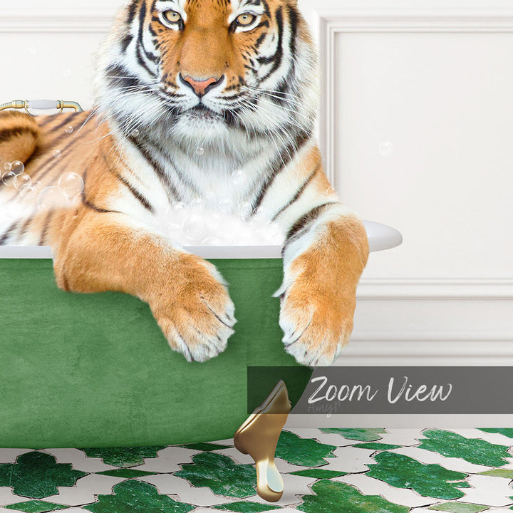 A tiger is sitting in a green bathtub, surrounded by bubbles, with a "Zoom View" label in the bottom right corner.