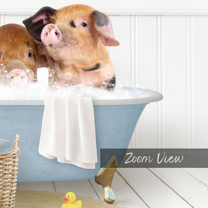 A pair of adorable pigs sitting in a blue bathtub filled with bubbles, surrounded by a yellow rubber duck and a white towel.