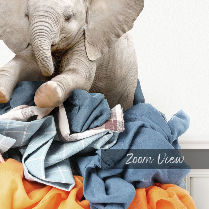 A baby elephant sitting on a pile of clothes, with the text "Zoom View" visible in the image.
