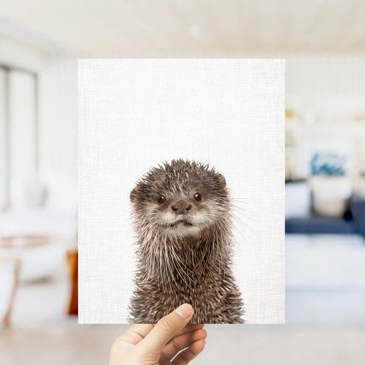 A close-up of an otter's face is being held up against a white background, with a blurred background suggesting an indoor setting.