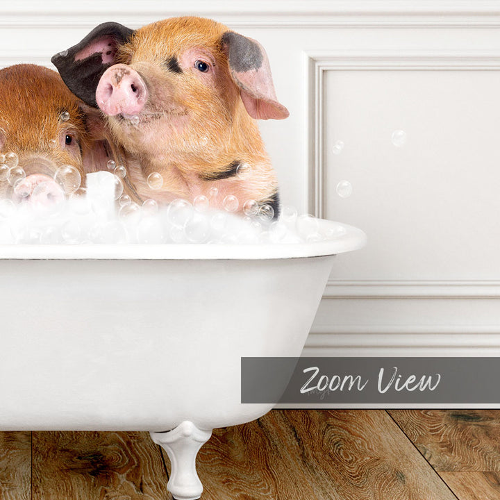 Two adorable pigs sitting in a white bathtub filled with bubbles, enjoying a bath together.