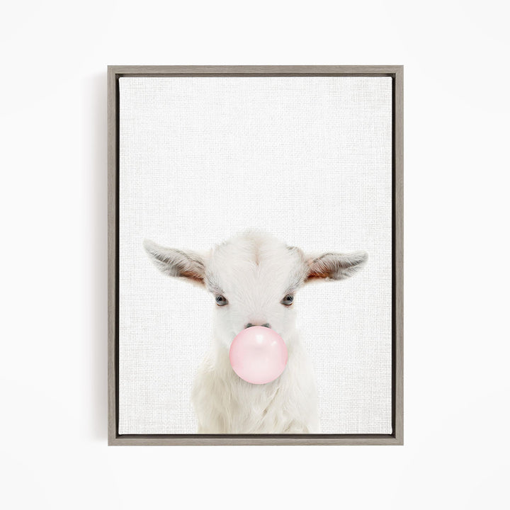 A white goat with pink bubble gum blowing in its mouth is the main subject of the image.
