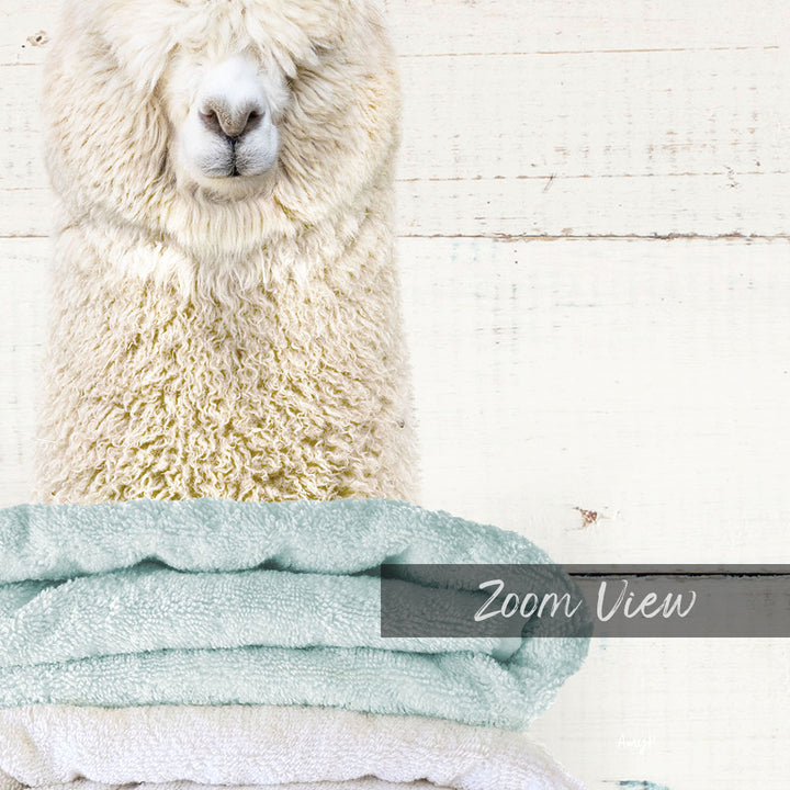 A fluffy white alpaca peeking out from behind a stack of light blue towels, with the text "Zoom View" overlaid on the image.