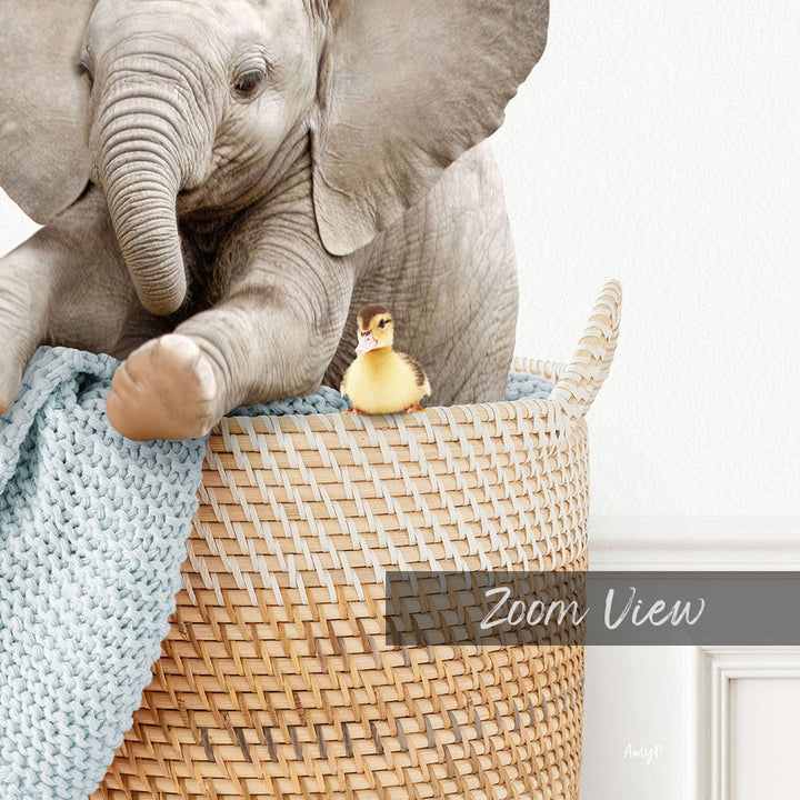 A baby elephant and a small yellow duck are sitting together in a woven basket, with a text overlay that reads "Zoom View".