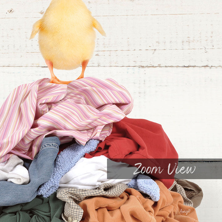 A yellow chick stands atop a pile of clothes, with the text "Zoom View" overlaid on the image.