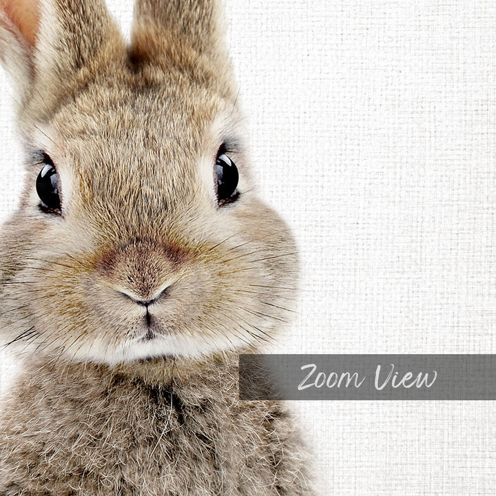A close-up portrait of a fluffy, brown rabbit with large, expressive eyes and a curious expression, set against a plain white background.