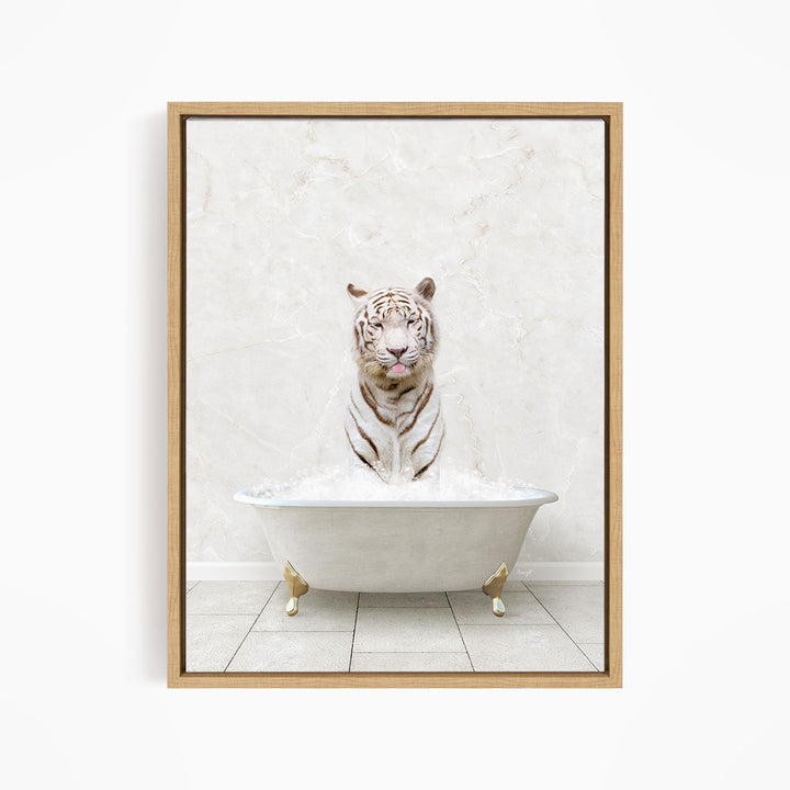 A white tiger sitting in a white bathtub filled with bubbles, with its mouth open and tongue sticking out.