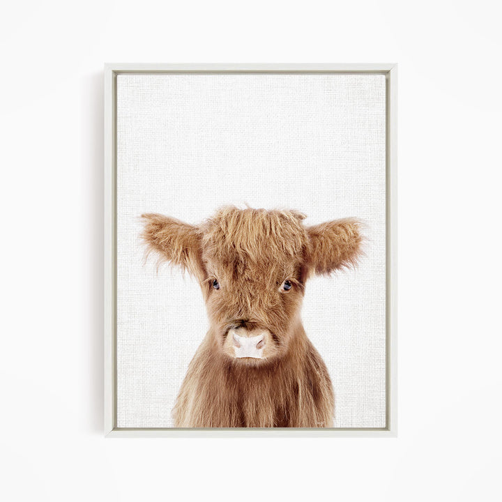 A close-up portrait of a brown cow with shaggy fur and large, expressive eyes.